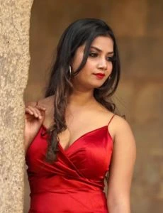 call girl service in Arani